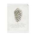 Picture of Pinecone Tidings I _GroupedProduct_Rectangle_Portrait_Unframed_Print_Only_