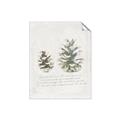 Picture of Pinecone Tidings II _GroupedProduct_Rectangle_Portrait_Unframed_Print_Only_