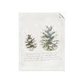 Picture of Pinecone Tidings II _GroupedProduct_Rectangle_Portrait_Unframed_Print_Only_