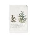 Picture of Pinecone Tidings II _GroupedProduct_Rectangle_Portrait_Unframed_Print_Only_