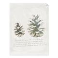 Picture of Pinecone Tidings II _GroupedProduct_Rectangle_Portrait_Unframed_Print_Only_