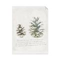 Picture of Pinecone Tidings II _GroupedProduct_Rectangle_Portrait_Unframed_Print_Only_