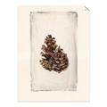 Picture of Nature's Holiday Charm I _GroupedProduct_Rectangle_Portrait_Unframed_Print_Only_