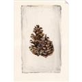 Picture of Nature's Holiday Charm I _GroupedProduct_Rectangle_Portrait_Unframed_Print_Only_