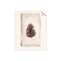 Picture of Nature's Holiday Charm II _GroupedProduct_Rectangle_Portrait_Unframed_Print_Only_