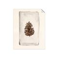 Picture of Nature's Holiday Charm II _GroupedProduct_Rectangle_Portrait_Unframed_Print_Only_