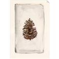 Picture of Nature's Holiday Charm II _GroupedProduct_Rectangle_Portrait_Unframed_Print_Only_