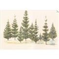 Picture of Joyful Pines _GroupedProduct_Rectangle_Landscape_Unframed_Print_Only_