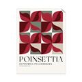 Picture of Poinsettia _GroupedProduct_Rectangle_Portrait_Unframed_Print_Only_