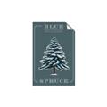 Picture of Blue Spruce _GroupedProduct_Rectangle_Portrait_Unframed_Print_Only_