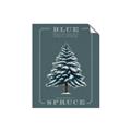 Picture of Blue Spruce _GroupedProduct_Rectangle_Portrait_Unframed_Print_Only_