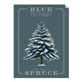 Picture of Blue Spruce _GroupedProduct_Rectangle_Portrait_Unframed_Print_Only_