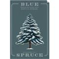 Picture of Blue Spruce _GroupedProduct_Rectangle_Portrait_Unframed_Print_Only_