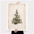 Picture of O Christmas Tree I _GroupedProduct_Rectangle_Portrait_Canvas_