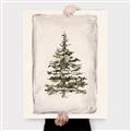 Picture of O Christmas Tree II _GroupedProduct_Rectangle_Portrait_Canvas_