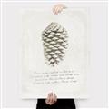 Picture of Pinecone Tidings I _GroupedProduct_Rectangle_Portrait_Canvas_
