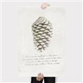 Picture of Pinecone Tidings I _GroupedProduct_Rectangle_Portrait_Canvas_