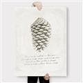 Picture of Pinecone Tidings I _GroupedProduct_Rectangle_Portrait_Canvas_