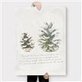 Picture of Pinecone Tidings II _GroupedProduct_Rectangle_Portrait_Canvas_