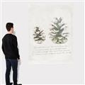 Picture of Pinecone Tidings II _GroupedProduct_Rectangle_Portrait_Canvas_