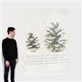 Picture of Pinecone Tidings II _GroupedProduct_Rectangle_Portrait_Canvas_