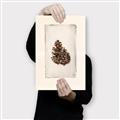 Picture of Nature's Holiday Charm I _GroupedProduct_Rectangle_Portrait_Canvas_