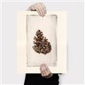 Picture of Nature's Holiday Charm I _GroupedProduct_Rectangle_Portrait_Canvas_