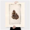 Picture of Nature's Holiday Charm I _GroupedProduct_Rectangle_Portrait_Canvas_