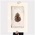Picture of Nature's Holiday Charm II _GroupedProduct_Rectangle_Portrait_Canvas_
