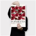 Picture of Poinsettia _GroupedProduct_Rectangle_Portrait_Canvas_