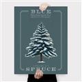 Picture of Blue Spruce _GroupedProduct_Rectangle_Portrait_Canvas_