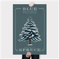 Picture of Blue Spruce _GroupedProduct_Rectangle_Portrait_Canvas_