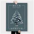 Picture of Blue Spruce _GroupedProduct_Rectangle_Portrait_Canvas_