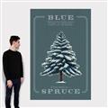 Picture of Blue Spruce _GroupedProduct_Rectangle_Portrait_Canvas_