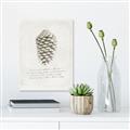 Picture of Pinecone Tidings I _GroupedProduct_Rectangle_Portrait_Canvas_