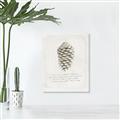 Picture of Pinecone Tidings I _GroupedProduct_Rectangle_Portrait_Canvas_
