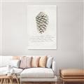 Picture of Pinecone Tidings I _GroupedProduct_Rectangle_Portrait_Canvas_