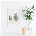 Picture of Pinecone Tidings II _GroupedProduct_Rectangle_Portrait_Canvas_
