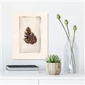 Picture of Nature's Holiday Charm I _GroupedProduct_Rectangle_Portrait_Canvas_