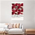 Picture of Poinsettia _GroupedProduct_Rectangle_Portrait_Canvas_
