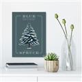 Picture of Blue Spruce _GroupedProduct_Rectangle_Portrait_Canvas_