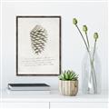 Picture of Pinecone Tidings I _GroupedProduct_Rectangle_Portrait_Canvas_Framed_