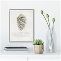 Picture of Pinecone Tidings I _GroupedProduct_Rectangle_Portrait_Canvas_Framed_