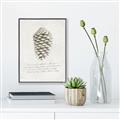 Picture of Pinecone Tidings I _GroupedProduct_Rectangle_Portrait_Canvas_Framed_