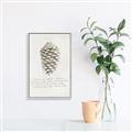 Picture of Pinecone Tidings I _GroupedProduct_Rectangle_Portrait_Canvas_Framed_