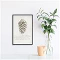 Picture of Pinecone Tidings I _GroupedProduct_Rectangle_Portrait_Canvas_Framed_