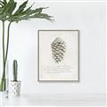 Picture of Pinecone Tidings I _GroupedProduct_Rectangle_Portrait_Canvas_Framed_