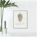 Picture of Pinecone Tidings I _GroupedProduct_Rectangle_Portrait_Canvas_Framed_