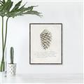 Picture of Pinecone Tidings I _GroupedProduct_Rectangle_Portrait_Canvas_Framed_