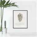 Picture of Pinecone Tidings I _GroupedProduct_Rectangle_Portrait_Canvas_Framed_